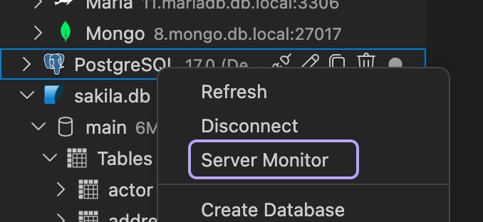 Open Server Monitor from the connection context menu