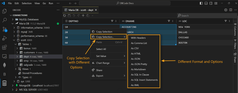 Copy selection with options