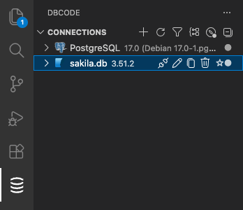 DBCode icon in VS Code