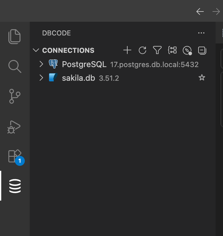 DBCode sidebar showing the Connections panel with saved connections