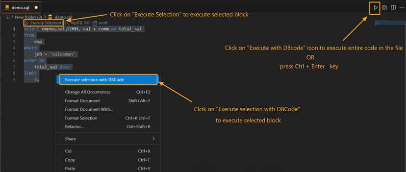 Executing SQL queries