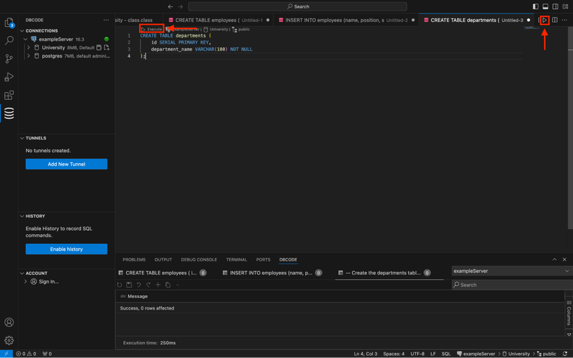 Execute SQL query