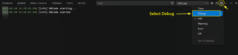 Setting debug log level